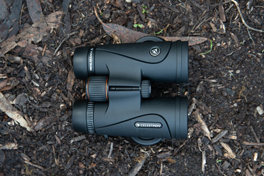 Celestron Trailseeker 8×42 F 1 24 1